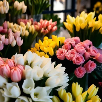 тюльпаны белые стоковое изображение. изображение насчитывающей сад -  23769321