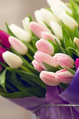 Скачать 938x1668 тюльпаны, цветы, букет, розовый, черный обои, картинки  iphone 8/7/6s/6 for parallax
