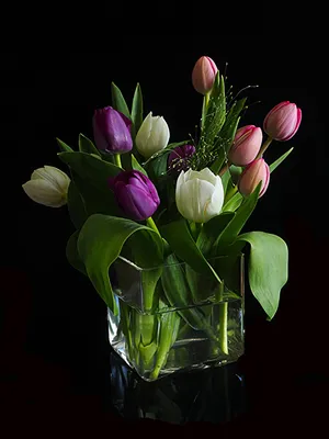 Обои для рабочего стола Тюльпаны Цветы Ваза Черный фон 600x800
