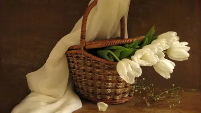 Обои тюльпаны, цветы, белые, букет, корзинка, весна, шарф картинки на рабочий  стол, фото скачать бесплатно