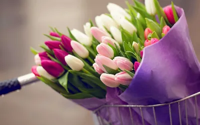 Обои Цветы Тюльпаны, обои для рабочего стола, фотографии цветы, тюльпаны,  яркие Обои для рабочего стола, скачать обои картинки заставки на рабочий  стол.