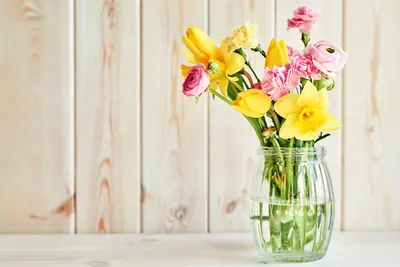 Обои Цветы Тюльпаны, обои для рабочего стола, фотографии цветы, тюльпаны,  бутоны, белый Обои для рабочего стола, скачать обои картинки заставки на рабочий  стол.