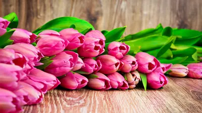 Тюльпаны, искусственные цветы, полноценная комната, спальня, рабочий стол,  искусственные цветы, букеты – купить по низким ценам в интернет-магазине  Joom