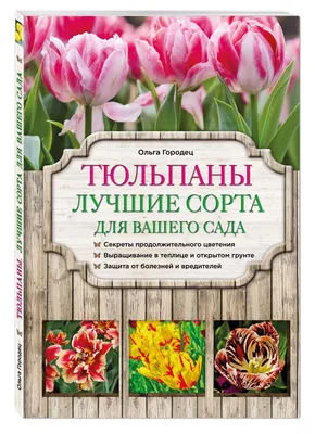 Тюльпаны Триумф смесь сортов (луковицы) | bufl.ru