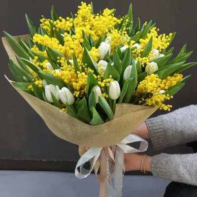 Мимоза и тюльпаны – цветы с доставкой в Брянске | Iris32