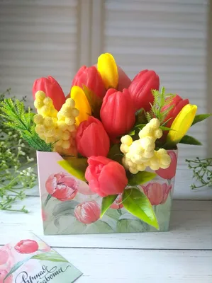 Полезные заметки о том, как купить тюльпаны оптом в Красноярске