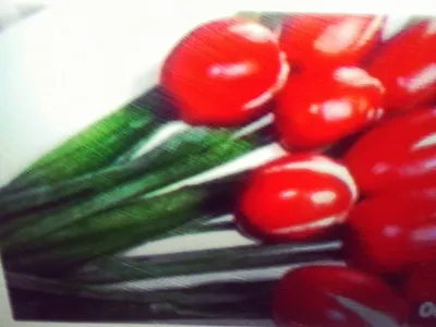Закуска тюльпаны - пошаговый рецепт с фото на Готовим дома
