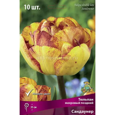 Купить тюльпаны махровые микс (10 луковиц) в интернет-магазине bufl.ru