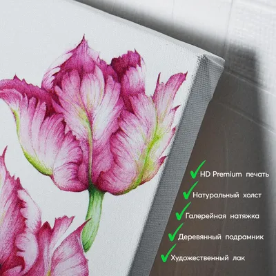 Купить букет красных махровых тюльпанов в СПб ✿ Оптовая цветочная компания  СПУТНИК