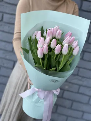 Tulips land ❤. А в Нидерландах уже везде продают тюльпаны. Много тюльпанов.  Обожаю. У вас есть любимые цветы? #тюльпаны #буднике… в 2024 г | Тюльпаны,  Цветы, Любимые цвета