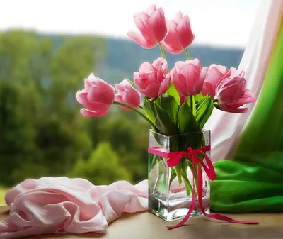 Тюльпаны на окне фото фотографии