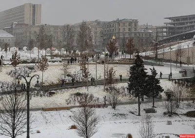 Фотография тюльпанов со снегом на заднем плане 