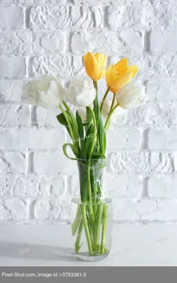 Букет красивых тюльпанов на столе возле кирпичной стены :: Стоковая  фотография :: Pixel-Shot Studio