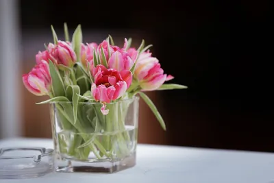 Обои на рабочий стол Розовые тюльпаны в вазе на столе, by Sven Brandsma,  обои для рабочего стола, скачать обои, обои бесплатно