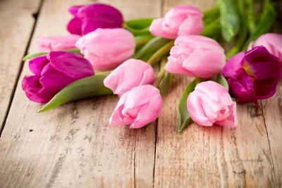 Розовые тюльпаны, обои для рабочего стола, фон , тюльпаны красивые,  эстетика , букет | Розовые тюльпаны, Тюльпаны, Обои для рабочего стола