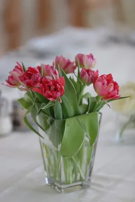Букет майских тюльпанов на столе :: Лидия Бараблина – Социальная сеть  ФотоКто