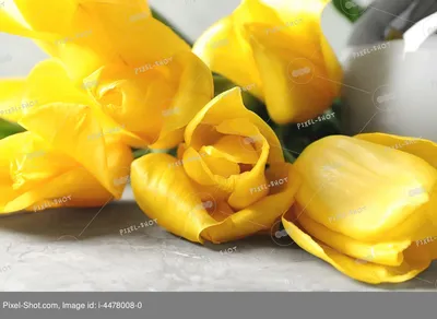 Букет тюльпанов на рабочий стол (60 фото)