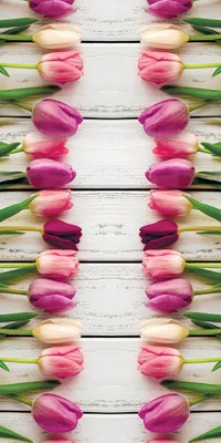 Дорожка (раннер) для стола \"Тюльпаны\" купить дешево с доставкой по Украине  и Киеву, большой выбор моделей и орнаментов вышиванок на сайте nd-ukraine