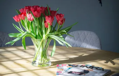 Тюльпаны на столе фото фотографии