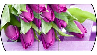 Тюльпаны обои на рабочий стол - фото и картинки: 62 штук