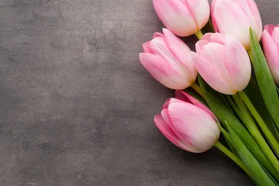 Букет тюльпанов на столе стоковое фото. изображение насчитывающей  положительно - 213723698