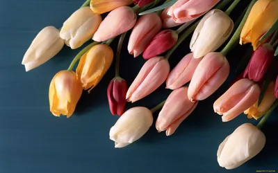 Тюльпаны в вазе дома (74 фото) » НА ДАЧЕ ФОТО