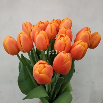 Тюльпан Оранжевые Пионовидные - Flowers Emily