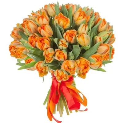 Тюльпаны желто-оранжевые 51 шт: тюльпаны желто-оранжевые 51 шт - купить с  доставкой по Москве