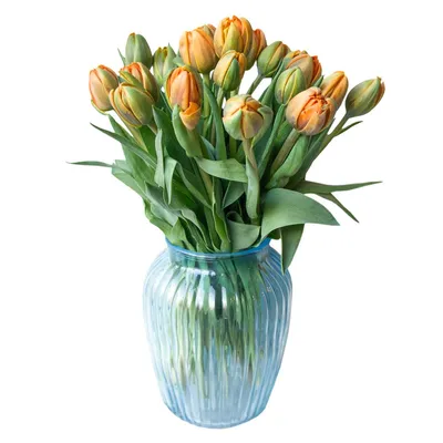 Тюльпаны оранжевые пионовидные Абба поштучно | купить недорого | доставка  по Москве и области