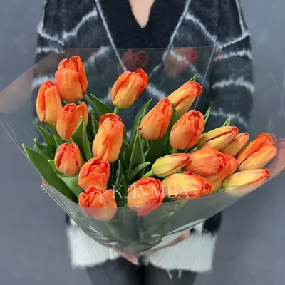 Оранжевый тюльпан - индивидуальные фотообои. Заказ фотообоев Оранжевый  тюльпан (28523)