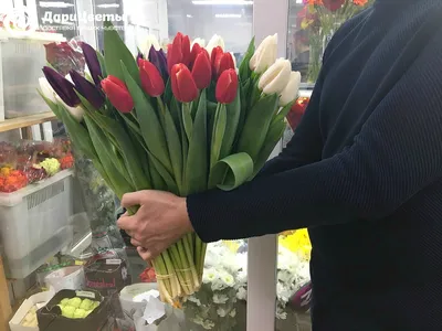 Уникальные сорта тюльпанов в дендропарке | \"Україна-Центр\"