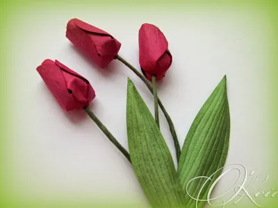 Тюльпаны - символика и кому стоит дарить | Полезные статьи от Julia-Flower