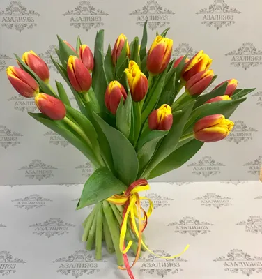 Купить тюльпаны в Самаре в цветочном магазине | Букет тюльпанов по выгодной  цене | «Азалия» Цвет Разные цвета, Повод Прости