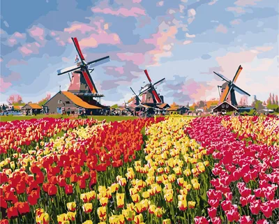 Парк тюльпанов в голландии кекенхоф (39 фото) - 39 фото