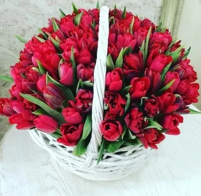 51 белый тюльпан в корзине (Z2063) | Give Flowers