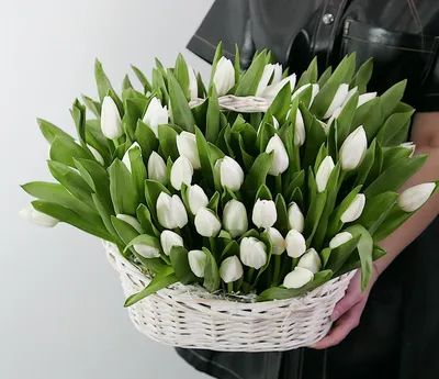101 красный тюльпан в корзине (Z3038) | Give Flowers