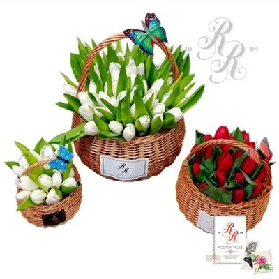 Корзина 101 тюльпан - Cyprus Flower