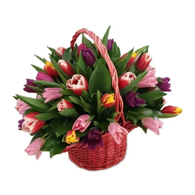 Тюльпаны в корзине - Cyprus Flower