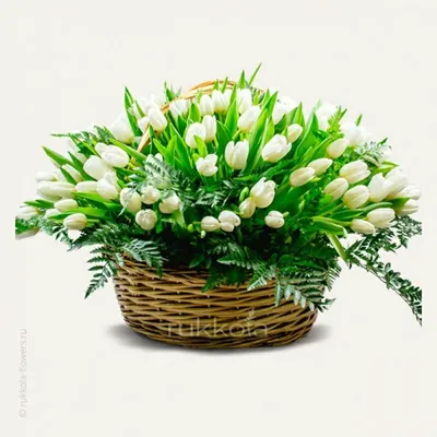 Желтые тюльпаны в корзине - Cyprus Flower