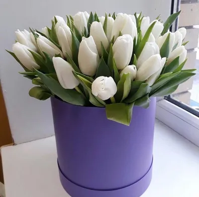 Тюльпаны в шляпной коробке фото фотографии