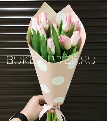 25 тюльпанов в розовой упаковке купить в Москве по цене 5390₽ | Арт. 104-984