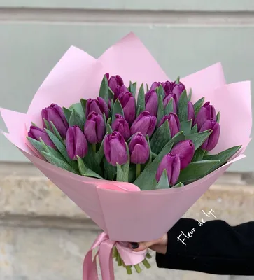 25 тюльпанов в упаковке - Доставкой цветов в Москве! 24167 товаров! Цены от  487 руб. Цветы Тут