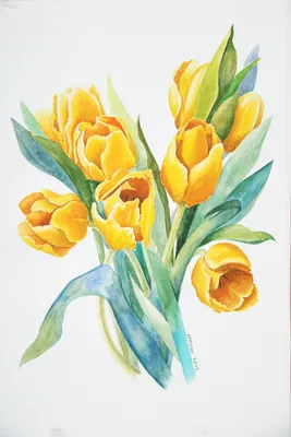 Желтые тюльпаны по мотивам работ Пэт Ягер | Цветочные картины, Желтые  тюльпаны, Акварельные иллюстрации