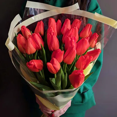 ꕤ Поздние тюльпаны • купить луковицу сорта поздних тюльпанов недорого •  цена луковиц простых поздних тюльпанов в Украине | Интернет-магазин Matla  Flowers