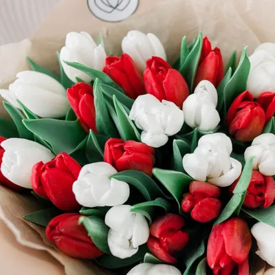 25 Королевских тюльпанов сорта Лалибела на 8 марта - купить с доставкой в  Иркутске