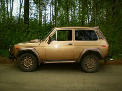 Купить Указатели поворота LADA 4x4 NIVA (надфарники) светодиодные для ВАЗ  2121, 21213, 21214, нива комплект, левый и правый, тюнинг в Москве в  интернет магазине | Wesem-light