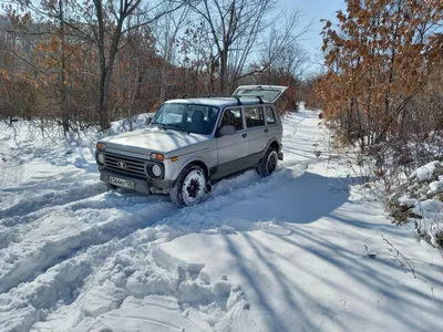 Купить Консоль потолка ВАЗ 2121 21213 21214 в сборе (White)