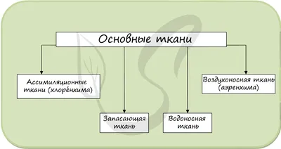 САМЫЕ ЛУЧШИЕ ТКАНИ ДЛЯ ОДЕЖДЫ