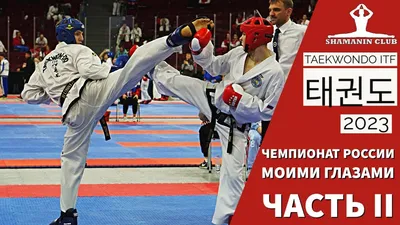 Пояс для тхэквондо WT ProfSport Премиум с вышивкой