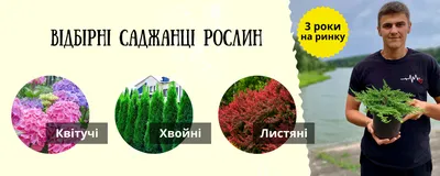 Река Тлумач: карта, фото, описание